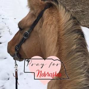 Meet your Posher, Shelli